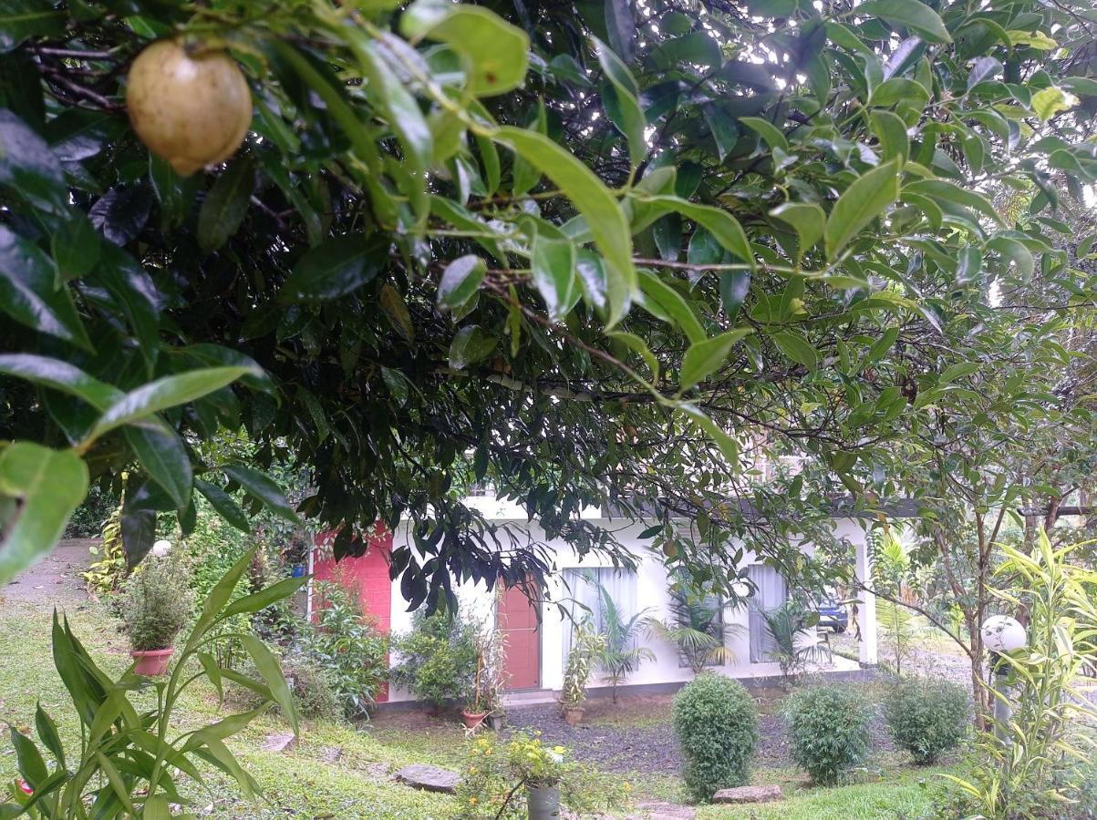 Riverbench Homestay Munnar, Anaviratty Exterior photo